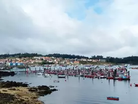 Complejo Turístico Tamanaco 3000 apartamentos turísticos en Illa de Arousa, a